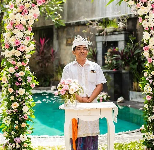 Guest house Lotus 4*